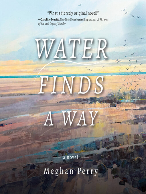 Title details for Water Finds a Way by Meghan Perry - Wait list